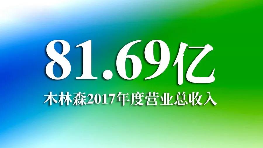 2018木林森大事回顾，你关注哪几条？