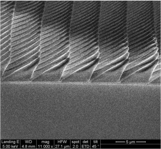 科学家通过复制萤火虫的“不平衡金字塔”来提升LED的光提取效率