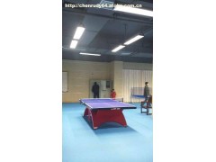 专用专业乒乓球场灯具/乒乓球馆灯具--亮灿牌-- 深圳亮灿发展有限公司