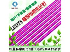 伟照业水培/大棚植物补光专用生长灯120cm led t8植物生长灯-- 广东伟照业光电节能有限公司