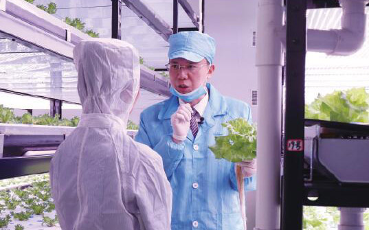台湾人在新疆搞农业，2018年4000m²植物工厂投入使用