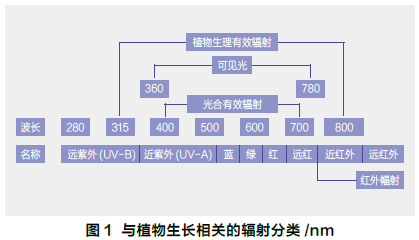 植物工厂补光照明方法现状与趋势