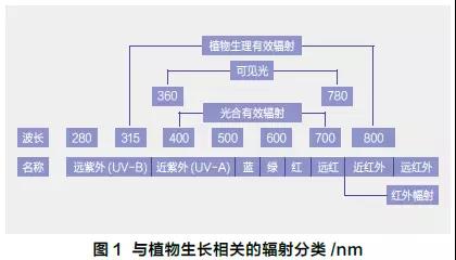 植物工厂补光照明方法现状与趋势