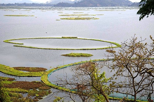印度森林与环境部：禁止在洛克塔克湖使用LED灯捕鱼