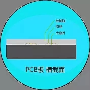 1488767666129540.jpg COB5.webp.jpg